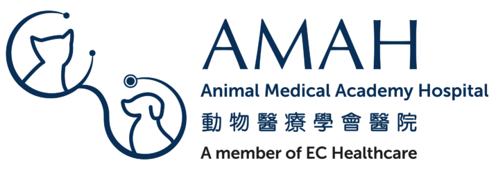 Animal Medical Academy Hospital