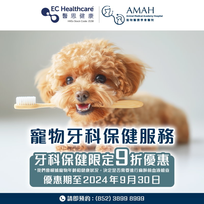 AMAH Pet Dental Care Services